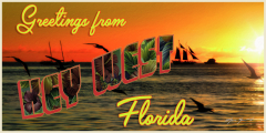 key west postcard 2