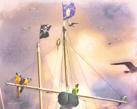 pirates and parrots