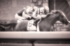 wise dan