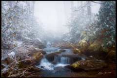 foggy creek